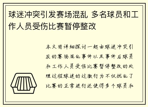球迷冲突引发赛场混乱 多名球员和工作人员受伤比赛暂停整改
