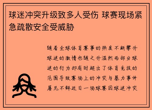 球迷冲突升级致多人受伤 球赛现场紧急疏散安全受威胁